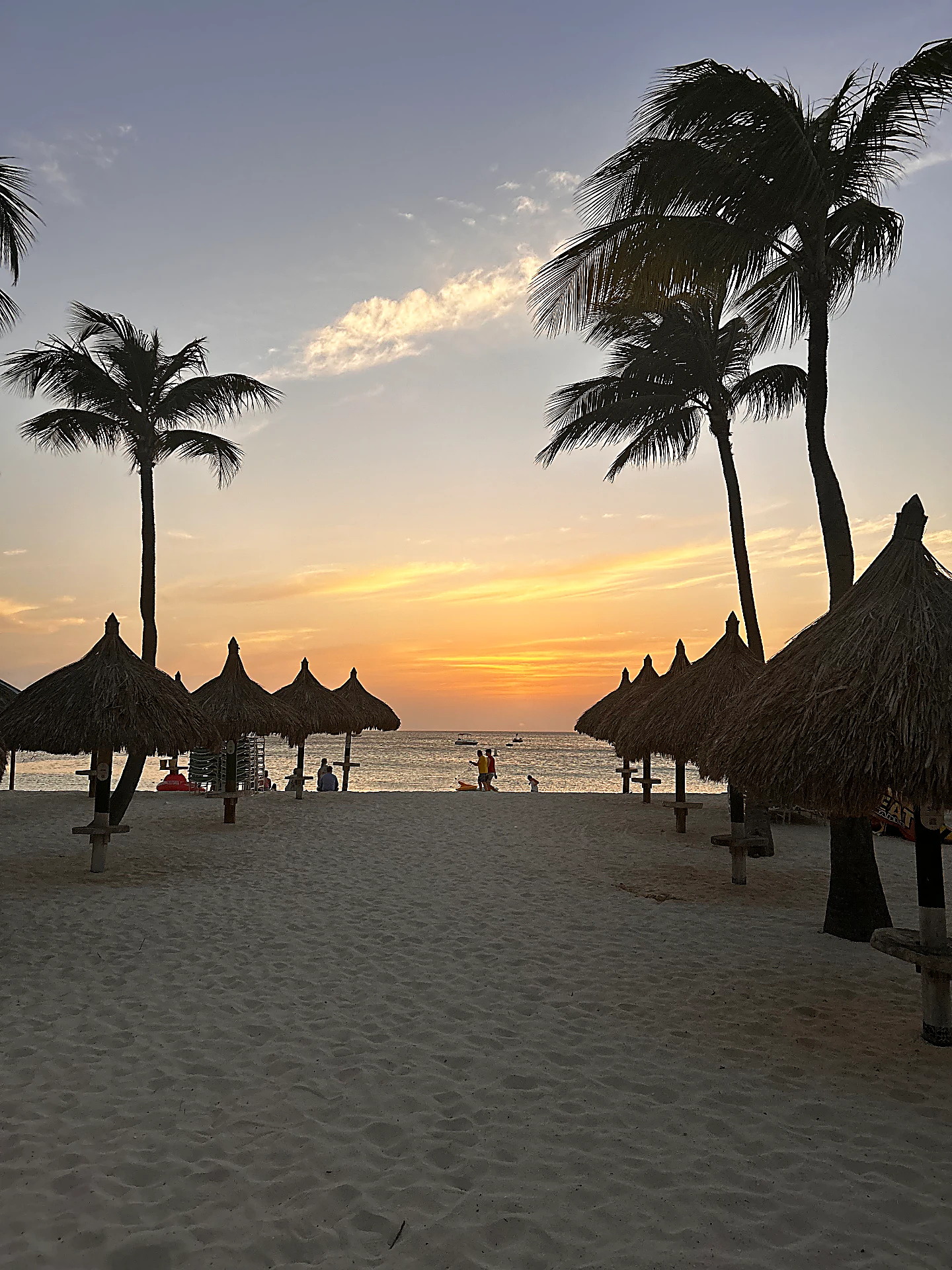 Zonsondergang tussen palmbomen en parasols op het strand van Aruba